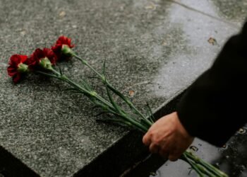 Jimmy Cliff Dies at 81 Remembering the Reggae Legend Who Made the World See Clearly