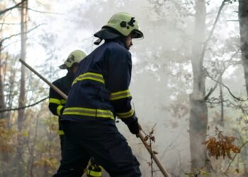 Governor Newsom Expands Mortgage Relief for California Wildfire Survivors