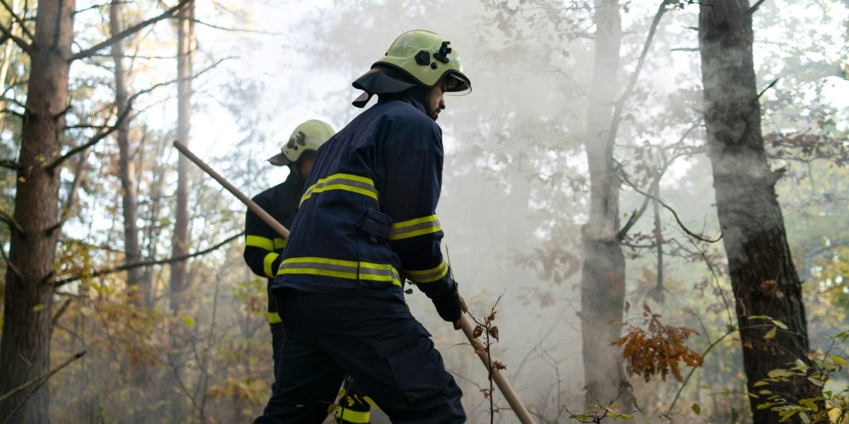 Governor Newsom Expands Mortgage Relief for California Wildfire Survivors