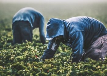 California Lawmakers Push to Rename César Chávez Day to Farmworkers Day