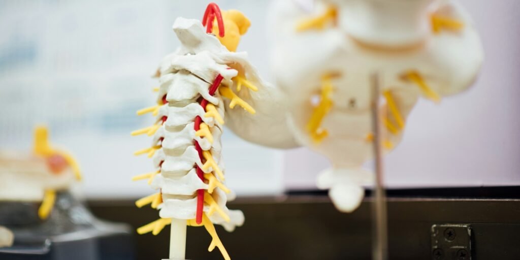 Non-Surgical Disc Decompression and Laser Therapy for Back and Joint Pain