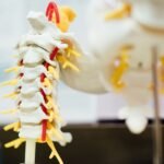 Non-Surgical Disc Decompression and Laser Therapy for Back and Joint Pain