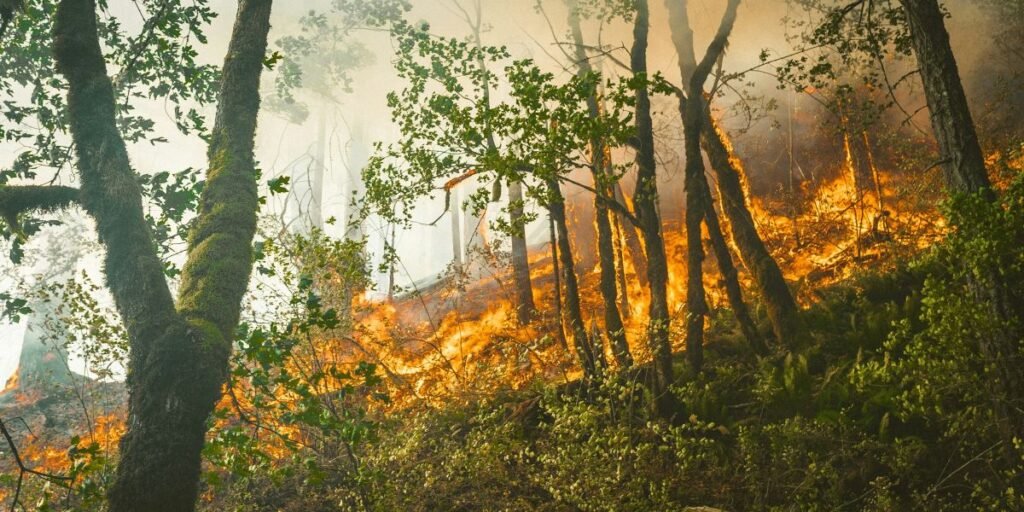 Newsom Wildfire Liability Package 2026 Utility Costs and Eaton Fire