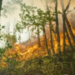 Newsom Wildfire Liability Package 2026 Utility Costs and Eaton Fire