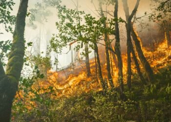 Newsom Wildfire Liability Package 2026 Utility Costs and Eaton Fire