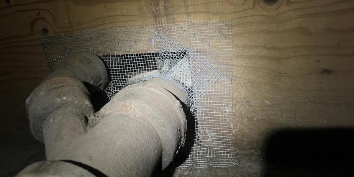 The Role of Myzzer Rodent Exclusion in the Shift Toward Sustainable and Chemical-Free Rodent Management