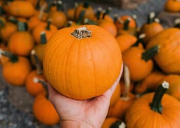 Half Moon Bay Prepares for Its 54th Art & Pumpkin Festival October 17–18 and the World Championship Weigh-Off October 12