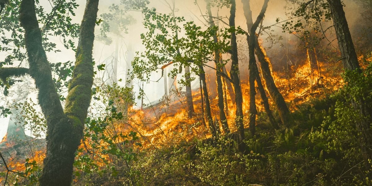 Newsom Wildfire Liability Package 2026 Utility Costs and Eaton Fire