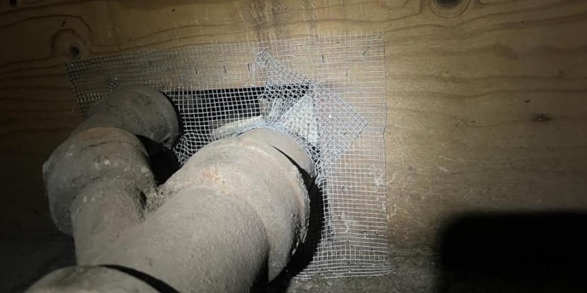 The Role of Myzzer Rodent Exclusion in the Shift Toward Sustainable and Chemical-Free Rodent Management